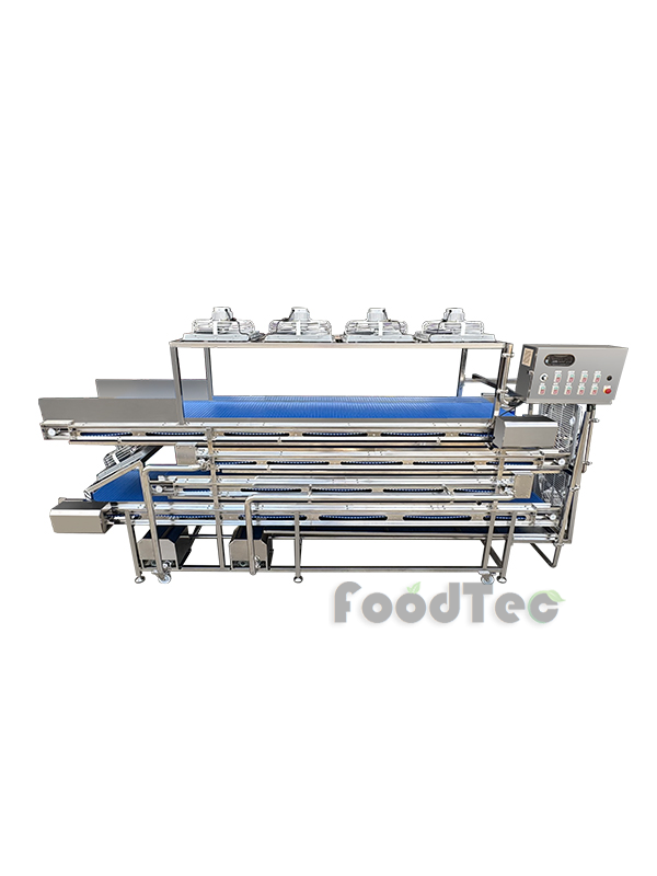 Four-Layer Air-Drying Conveyor FT-210A