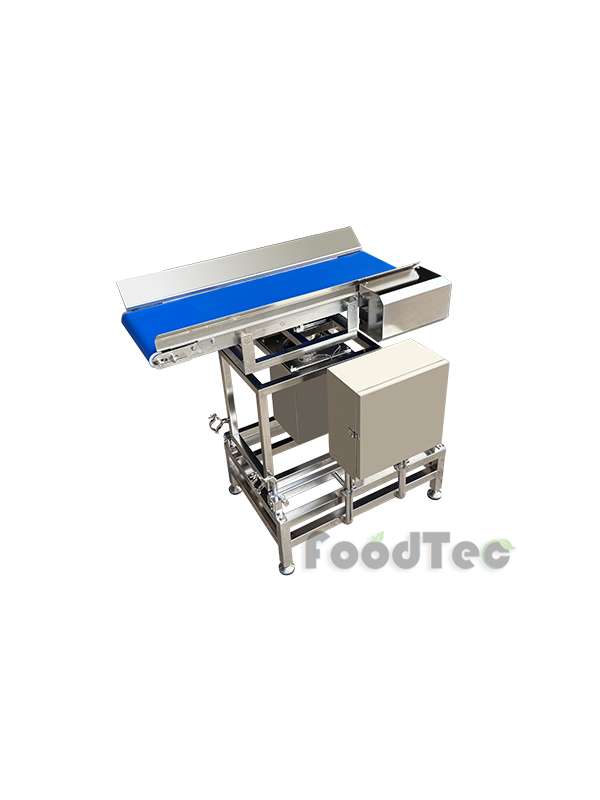 Reciprocating flat belt conveyor FT-419A
