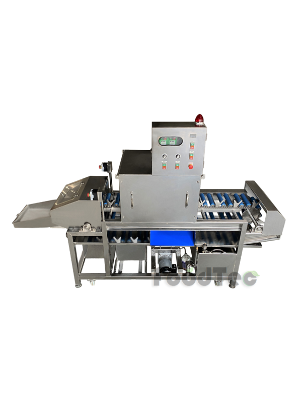 連續式鳳梨去冠芽暨殺菌消毒機 FT-315A