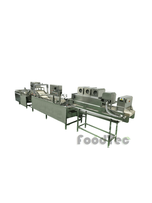 Salad processing lines